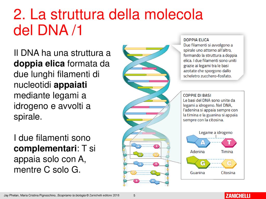 Ppt Scaricare